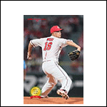 ポストカード森25T