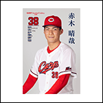 ポストカード赤木26A