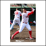 ポストカード林26B