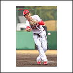 ポストカード西川26D