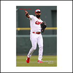 ポストカードファビアン26F