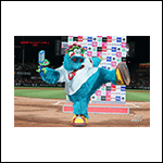 ポストカードスラィリー26M