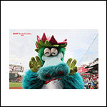 ポストカードスラィリー25AE