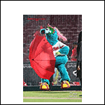 ポストカードスラィリー25AH