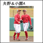ポストカード矢野＆小園25A